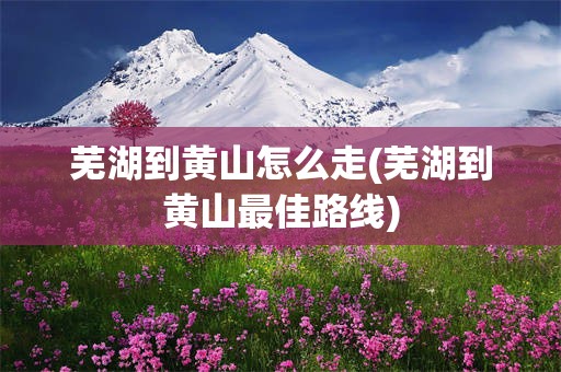 芜湖到黄山怎么走(芜湖到黄山最佳路线)