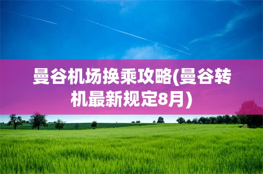 曼谷机场换乘攻略(曼谷转机最新规定8月)