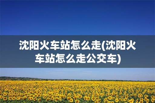 沈阳火车站怎么走(沈阳火车站怎么走公交车)