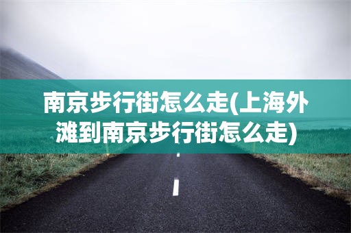 南京步行街怎么走(上海外滩到南京步行街怎么走)