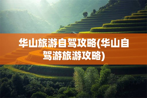 华山旅游自驾攻略(华山自驾游旅游攻略)