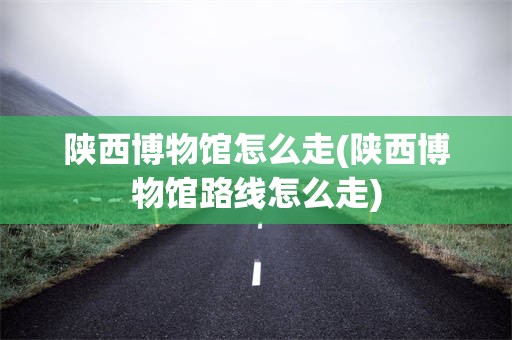 陕西博物馆怎么走(陕西博物馆路线怎么走)