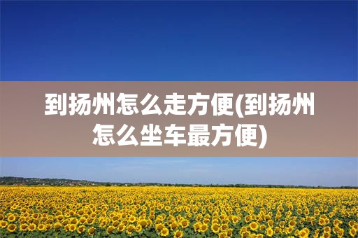 到扬州怎么走方便(到扬州怎么坐车最方便)