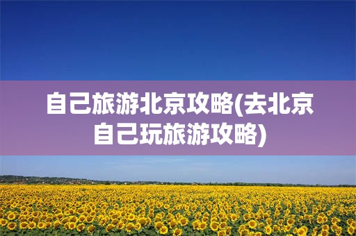 自己旅游北京攻略(去北京自己玩旅游攻略)