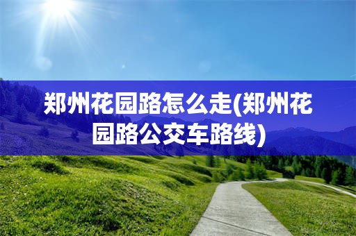 郑州花园路怎么走(郑州花园路公交车路线)