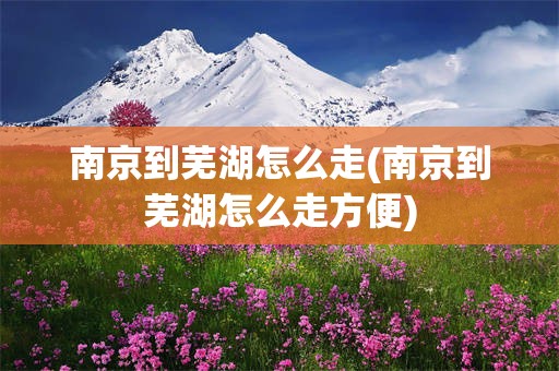 南京到芜湖怎么走(南京到芜湖怎么走方便)