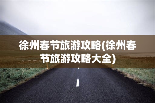 徐州春节旅游攻略(徐州春节旅游攻略大全)