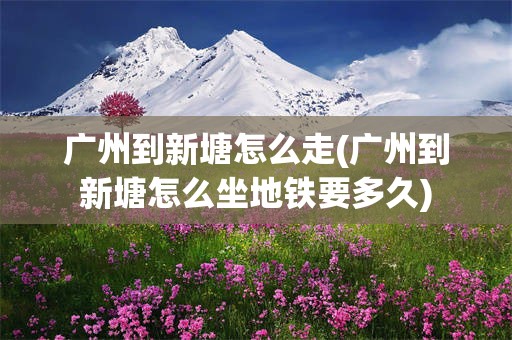 广州到新塘怎么走(广州到新塘怎么坐地铁要多久)