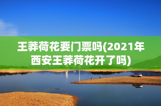 王莽荷花要门票吗(2021年西安王莽荷花开了吗)