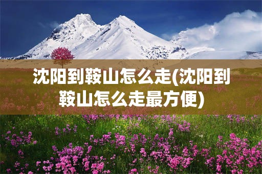 沈阳到鞍山怎么走(沈阳到鞍山怎么走最方便)