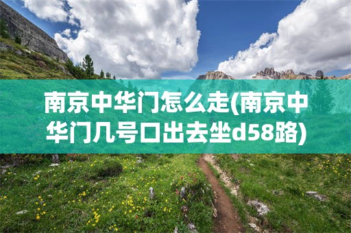 南京中华门怎么走(南京中华门几号口出去坐d58路)