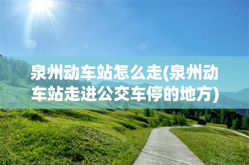 泉州动车站怎么走(泉州动车站走进公交车停的地方)