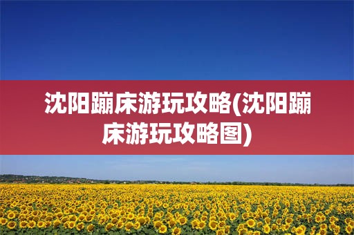 沈阳蹦床游玩攻略(沈阳蹦床游玩攻略图)