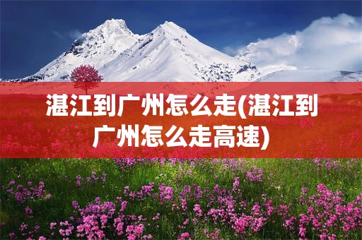 湛江到广州怎么走(湛江到广州怎么走高速)