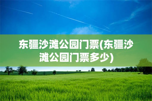 东疆沙滩公园门票(东疆沙滩公园门票多少)