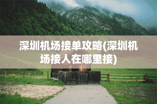 深圳机场接单攻略(深圳机场接人在哪里接)