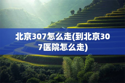 北京307怎么走(到北京307医院怎么走)