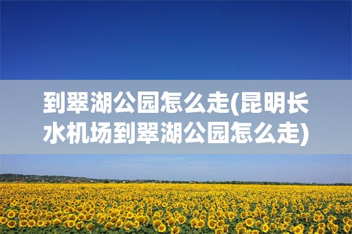 到翠湖公园怎么走(昆明长水机场到翠湖公园怎么走)