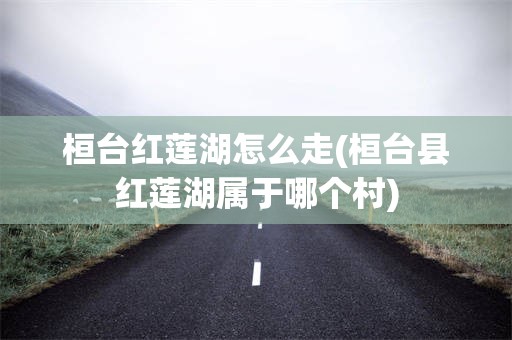 桓台红莲湖怎么走(桓台县红莲湖属于哪个村)