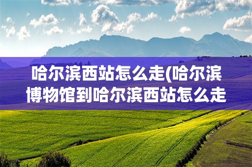 哈尔滨西站怎么走(哈尔滨博物馆到哈尔滨西站怎么走)