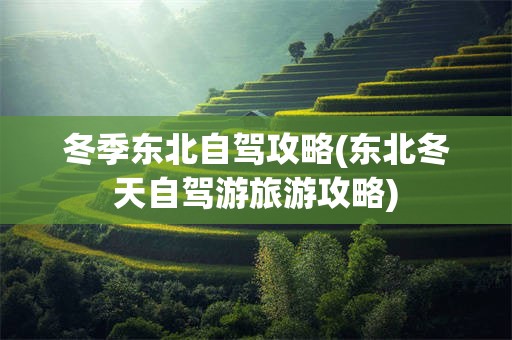 冬季东北自驾攻略(东北冬天自驾游旅游攻略)