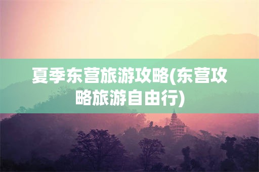 夏季东营旅游攻略(东营攻略旅游自由行)