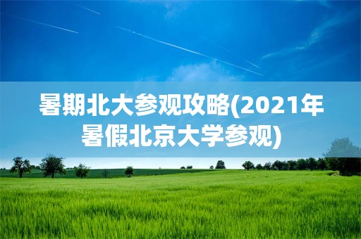 暑期北大参观攻略(2021年暑假北京大学参观)