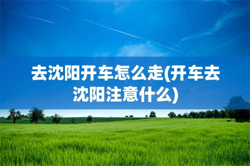 去沈阳开车怎么走(开车去沈阳注意什么)