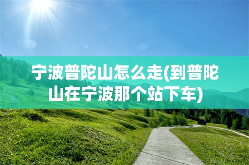 宁波普陀山怎么走(到普陀山在宁波那个站下车)