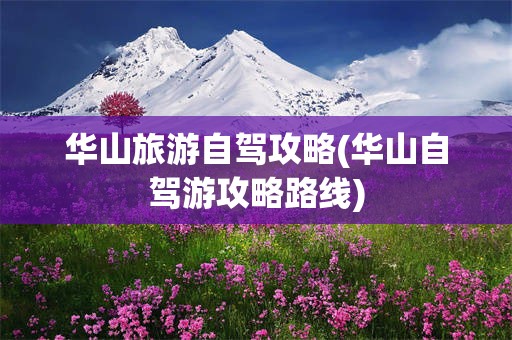 华山旅游自驾攻略(华山自驾游攻略路线)