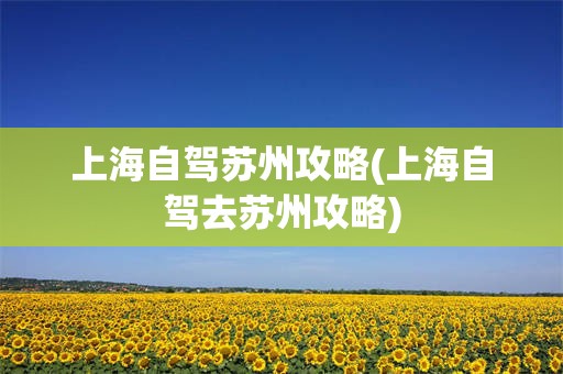 上海自驾苏州攻略(上海自驾去苏州攻略)