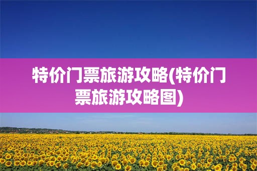 特价门票旅游攻略(特价门票旅游攻略图)