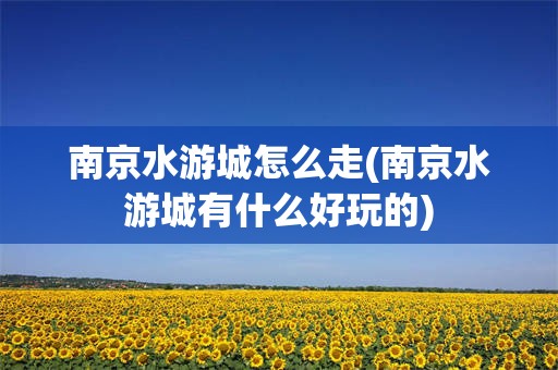 南京水游城怎么走(南京水游城有什么好玩的)