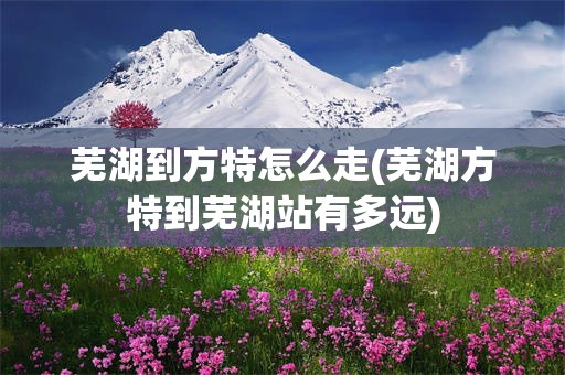 芜湖到方特怎么走(芜湖方特到芜湖站有多远)