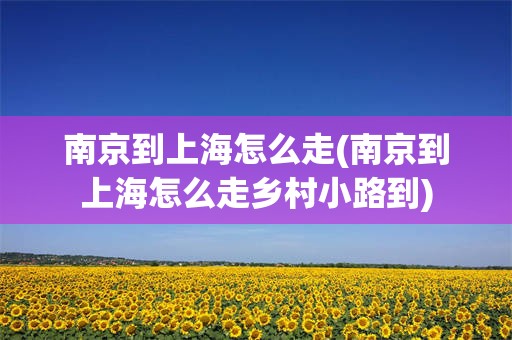 南京到上海怎么走(南京到上海怎么走乡村小路到)