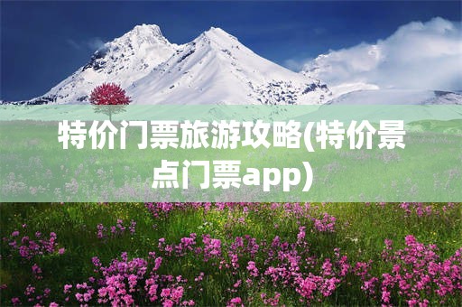 特价门票旅游攻略(特价景点门票app)