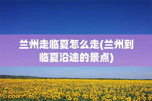 兰州走临夏怎么走(兰州到临夏沿途的景点)