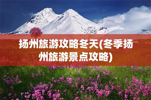 扬州旅游攻略冬天(冬季扬州旅游景点攻略)