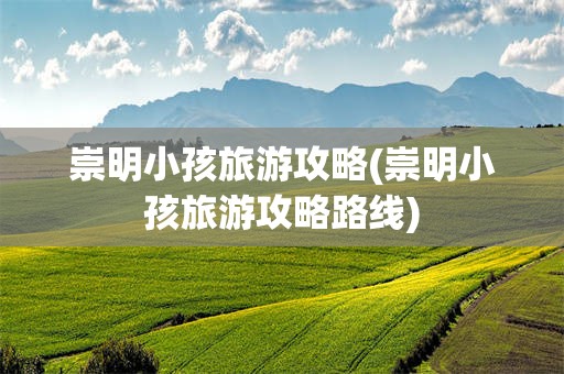 崇明小孩旅游攻略(崇明小孩旅游攻略路线)