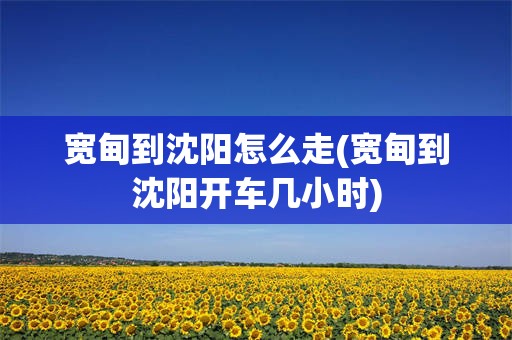 宽甸到沈阳怎么走(宽甸到沈阳开车几小时)