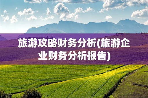 旅游攻略财务分析(旅游企业财务分析报告)