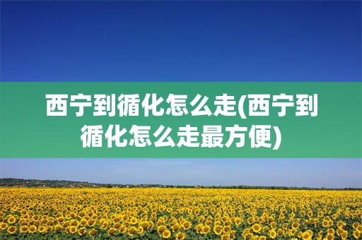 西宁到循化怎么走(西宁到循化怎么走最方便)