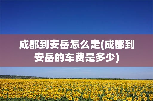 成都到安岳怎么走(成都到安岳的车费是多少)