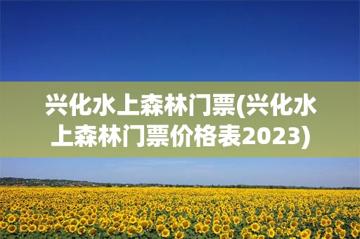 兴化水上森林门票(兴化水上森林门票价格表2023)