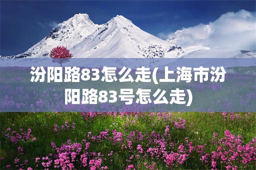 汾阳路83怎么走(上海市汾阳路83号怎么走)