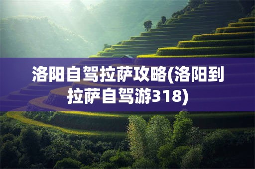 洛阳自驾拉萨攻略(洛阳到拉萨自驾游318)