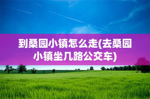 到桑园小镇怎么走(去桑园小镇坐几路公交车)