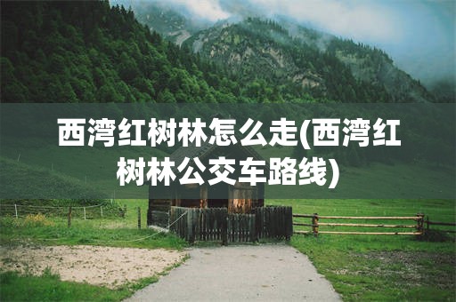 西湾红树林怎么走(西湾红树林公交车路线)