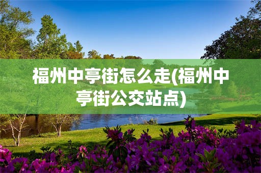 福州中亭街怎么走(福州中亭街公交站点)