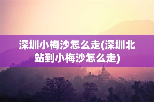 深圳小梅沙怎么走(深圳北站到小梅沙怎么走)